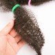 5 Packs Afro Kinky Curly Twist Braiding Hair