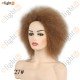 Short Kinky Curly Afro COCO Wigs